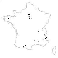 Mentha spicata L. - carte des observations