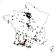 Mentha suaveolens Ehrh. - carte des observations