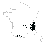 Phyteuma sp. - carte des observations