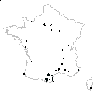 Picris sp. - carte des observations