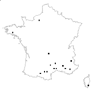 Pinus sp. - carte des observations