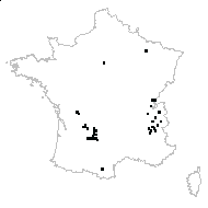 Platanthera sp. - carte des observations