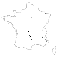 Polygonatum sp. - carte des observations