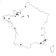 Polypodium sp. - carte des observations