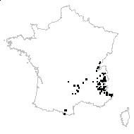 Rhinanthus sp. - carte des observations