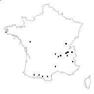 Scrophularia sp. - carte des observations
