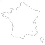 Selaginella sp. - carte des observations