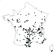 Senecio sp. - carte des observations