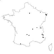 Solidago sp. - carte des observations