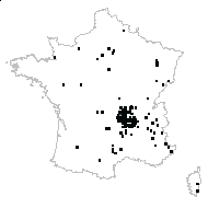 Stellaria sp. - carte des observations