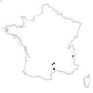 Stipa sp. - carte des observations