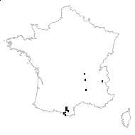 Succisa sp. - carte des observations