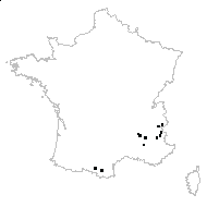 Thesium sp. - carte des observations