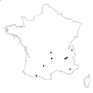 Thlaspi sp. - carte des observations