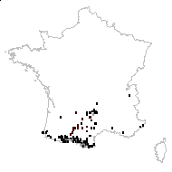 Prunella vulgaris subsp. hastifolia (Brot.) Douin - carte des observations