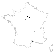 Torilis sp. - carte des observations