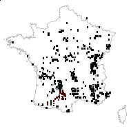 Prunella pinnatifida Pers. - carte des observations