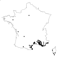 Rosmarinus officinalis L. subsp. officinalis - carte des observations