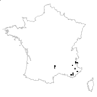 Sclarea aethiopis (L.) Mill. - carte des observations