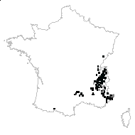 Salvia glutinosa L. - carte des observations