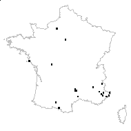 Vincetoxicum sp. - carte des observations