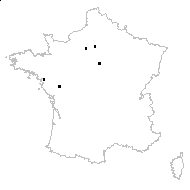 Zea sp. - carte des observations