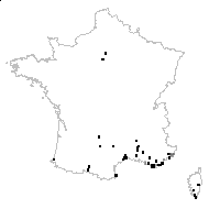 ACANTHACEAE - carte des observations