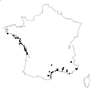 EPHEDRACEAE - carte des observations