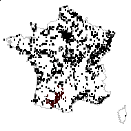 LYTHRACEAE - carte des observations