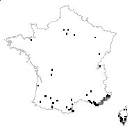 MYRTACEAE - carte des observations