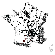 SAXIFRAGACEAE - carte des observations