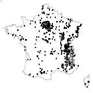 BERBERIDACEAE - carte des observations