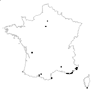 ARECACEAE - carte des observations