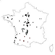 Scutellaria minor Huds. - carte des observations