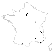 BIGNONIACEAE - carte des observations