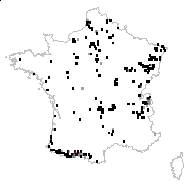 THELYPTERIDACEAE - carte des observations