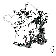 THYMELAEACEAE - carte des observations