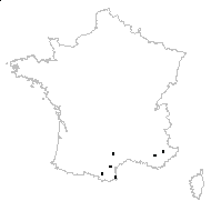 Sideritis hirsuta L. subsp. hirsuta - carte des observations