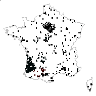 PHYTOLACCACEAE - carte des observations