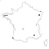 HYMENOPHYLLACEAE - carte des observations