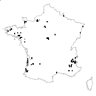 MYRICACEAE - carte des observations