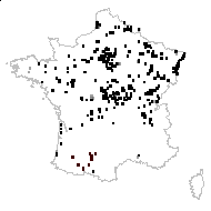 NYMPHAEACEAE - carte des observations