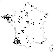 OSMUNDACEAE - carte des observations