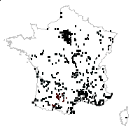 VITACEAE - carte des observations