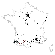 PLATANACEAE - carte des observations