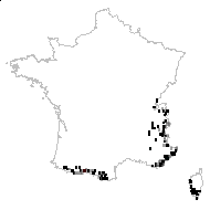 SELAGINELLACEAE - carte des observations