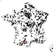 TYPHACEAE - carte des observations