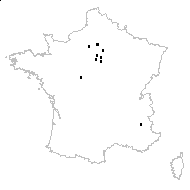 Scrophularia auriculata L. subsp. auriculata - carte des observations