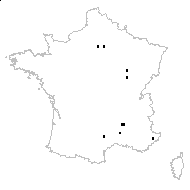 Stachys germanica L. subsp. germanica - carte des observations