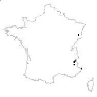 Achillea nobilis L. subsp. nobilis - carte des observations